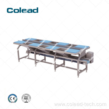 6 station fruit/vegetable picking conveyor